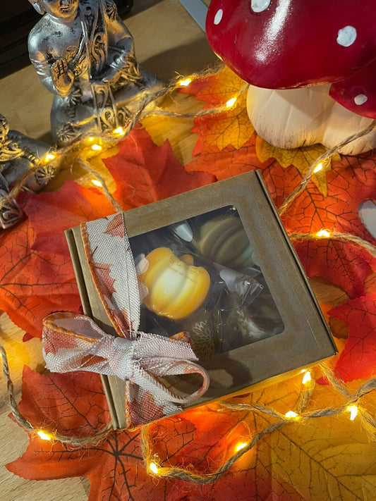 Coffret découverte 🍁✨mélodie d’automne✨🍁